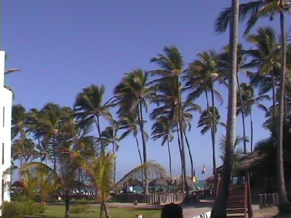 Occidental Flamenco Punta Cana Occidental Punta Cana