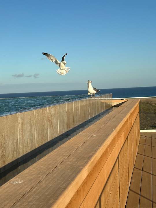 Pool ROBINSON JANDIA PLAYA