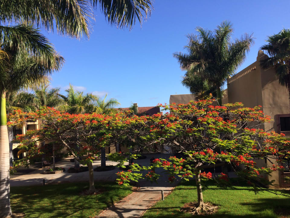 Gartenanlage La Palma Princess