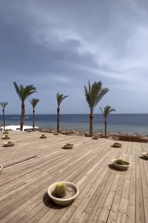 Ausblick SUNRISE Remal Beach Resort