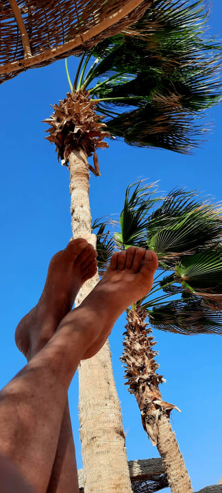 Strand Pickalbatros Citadel Resort