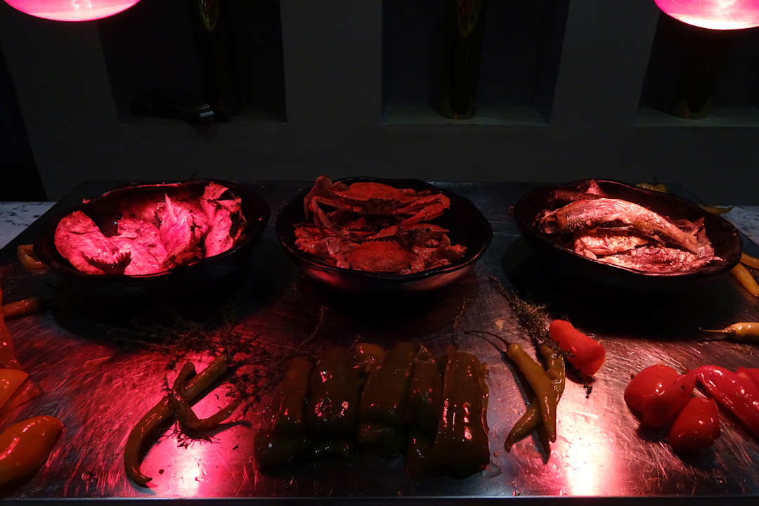 Gastro Makadi Palace