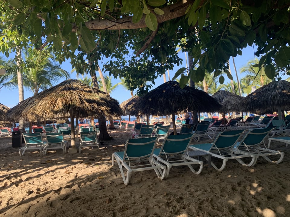 Strand Catalonia Royal La Romana - Adults only