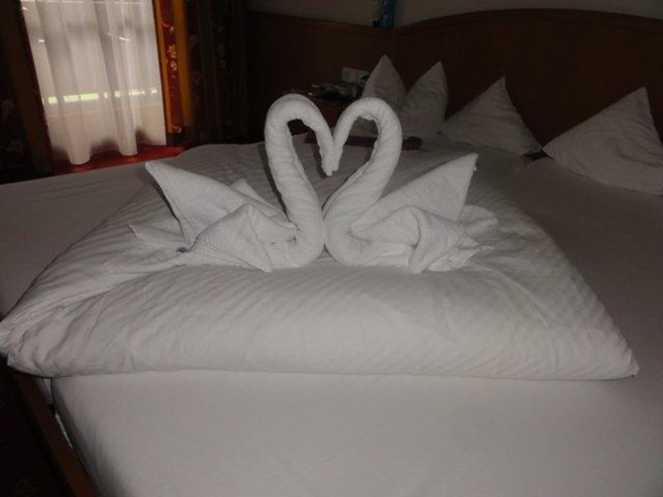 2 verliebte Schwäne Garni Hotel - Das Alpin Kaiserzeit