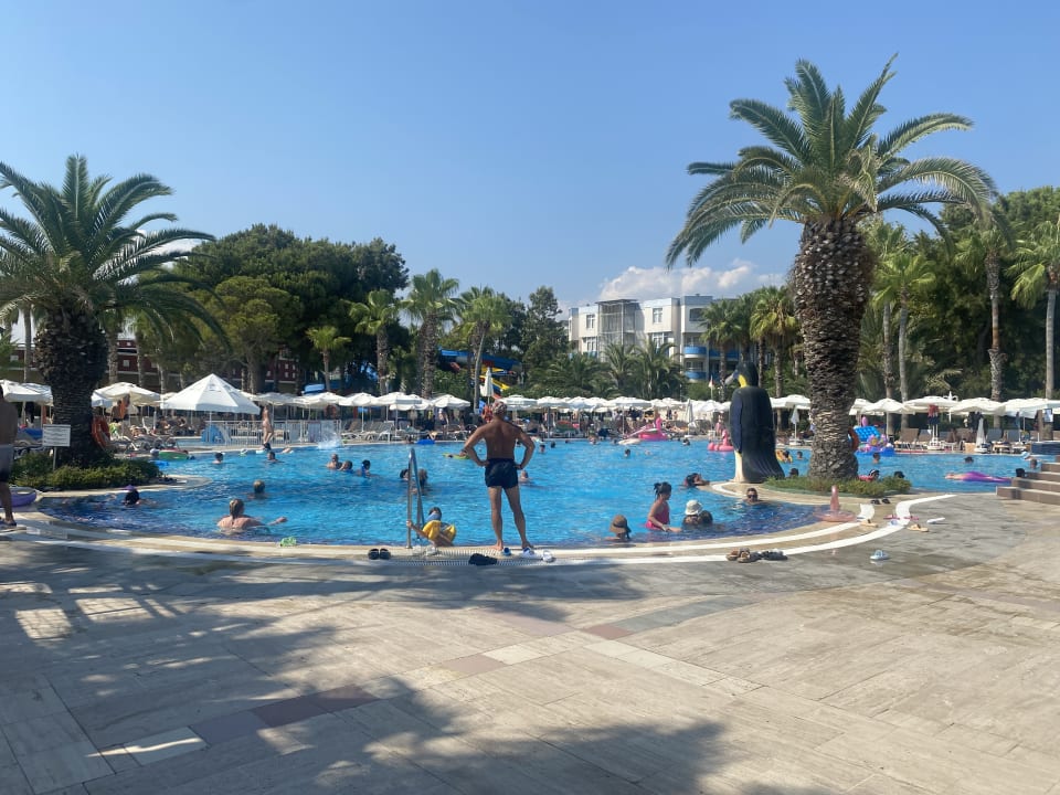 Pool Hotel Botanik Platinum