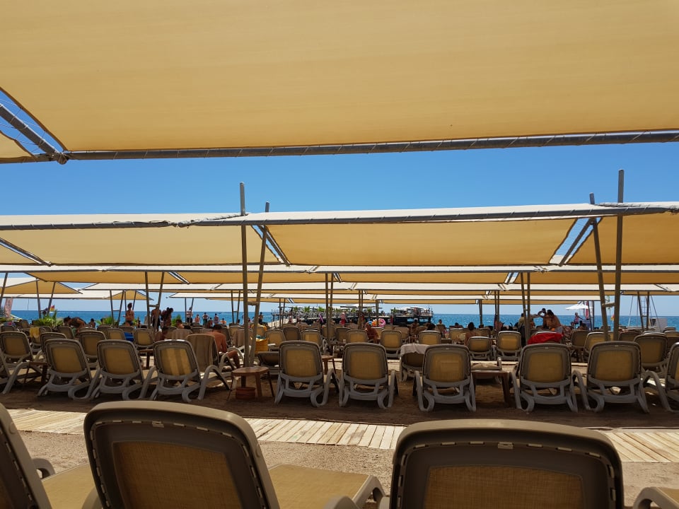 Strand Royal Seginus