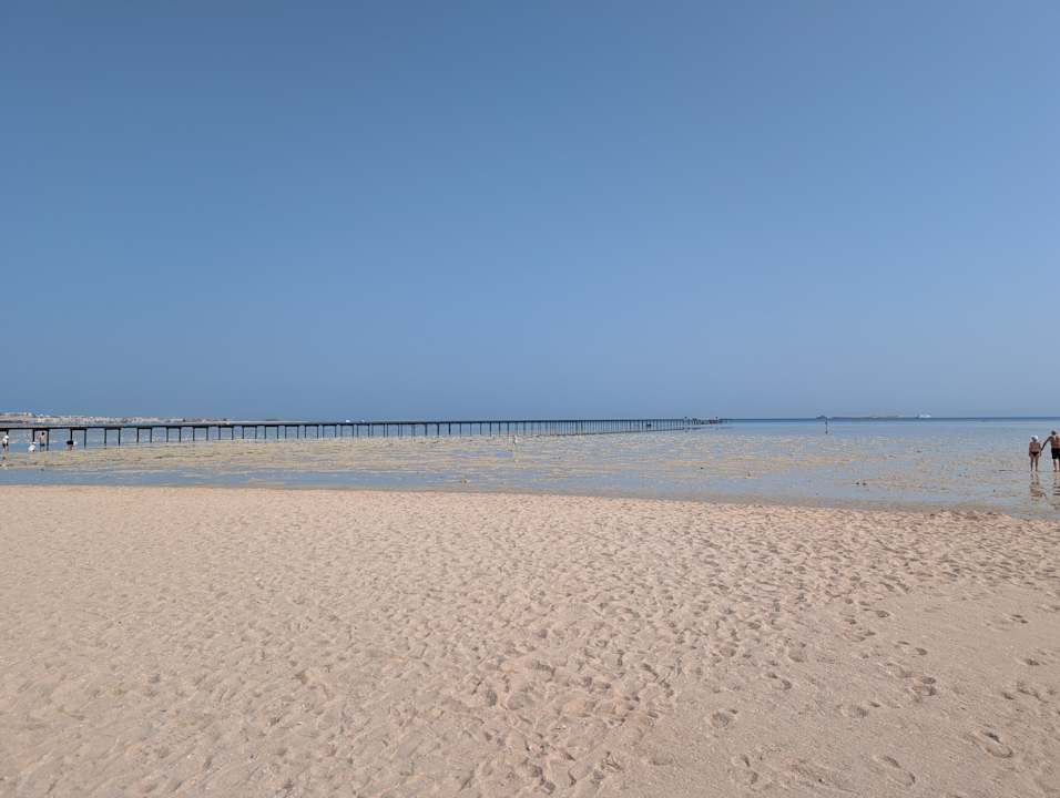 Strand JAZ Elite Asteria