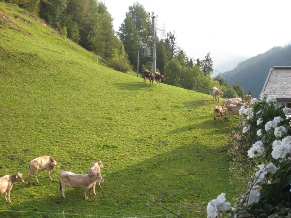 Ausblick vom Balkon Hotel Dornauhof