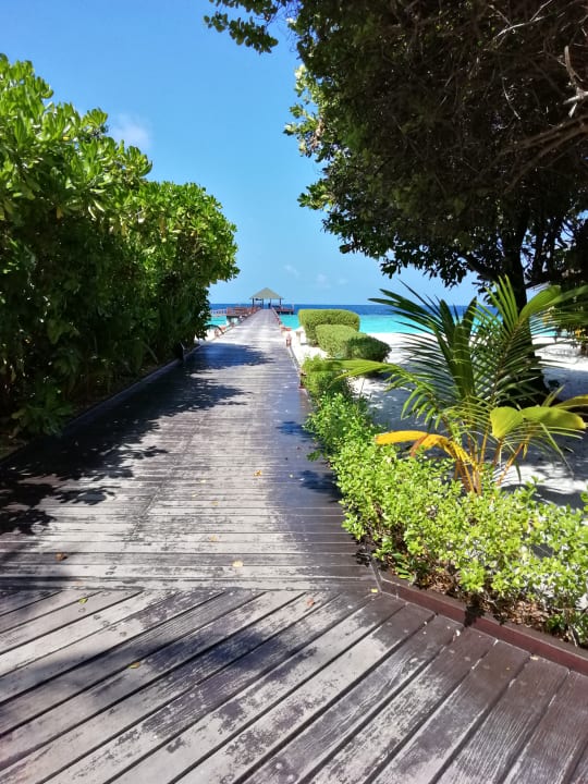 Gartenanlage Adaaran Select Meedhupparu Island Resort - Premium All Inclusive