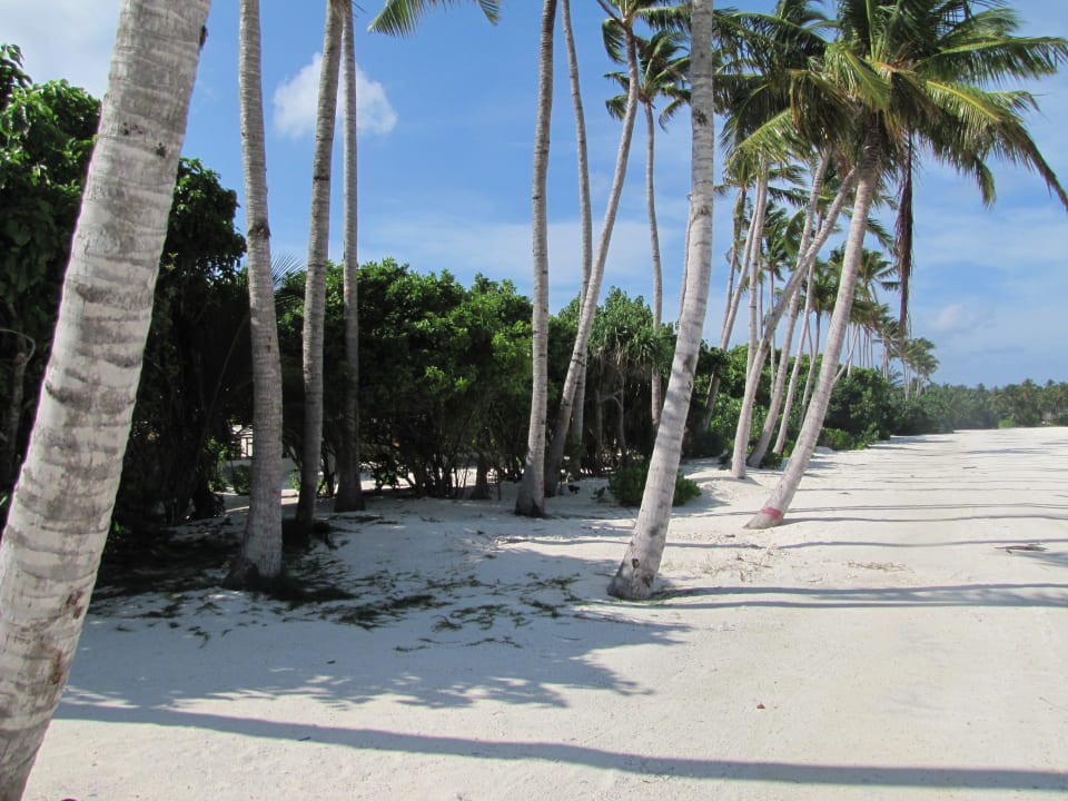 Dahinter die Villen Atmosphere Kanifushi Maldives