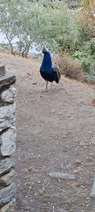 Gartenanlage Hotel Makryammos Bungalows