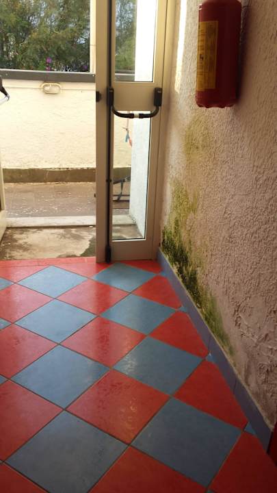 Schimmel Hotel Marina Club