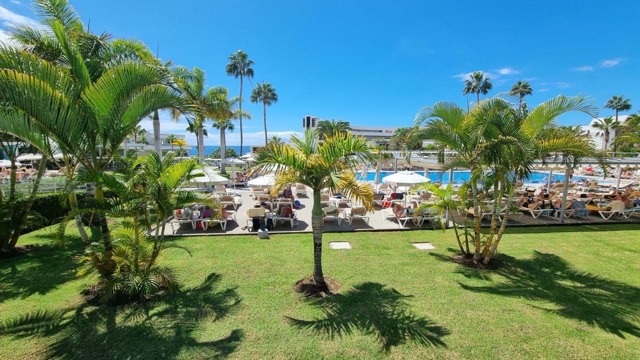 Gartenanlage Hotel Riu Arecas - Adults only