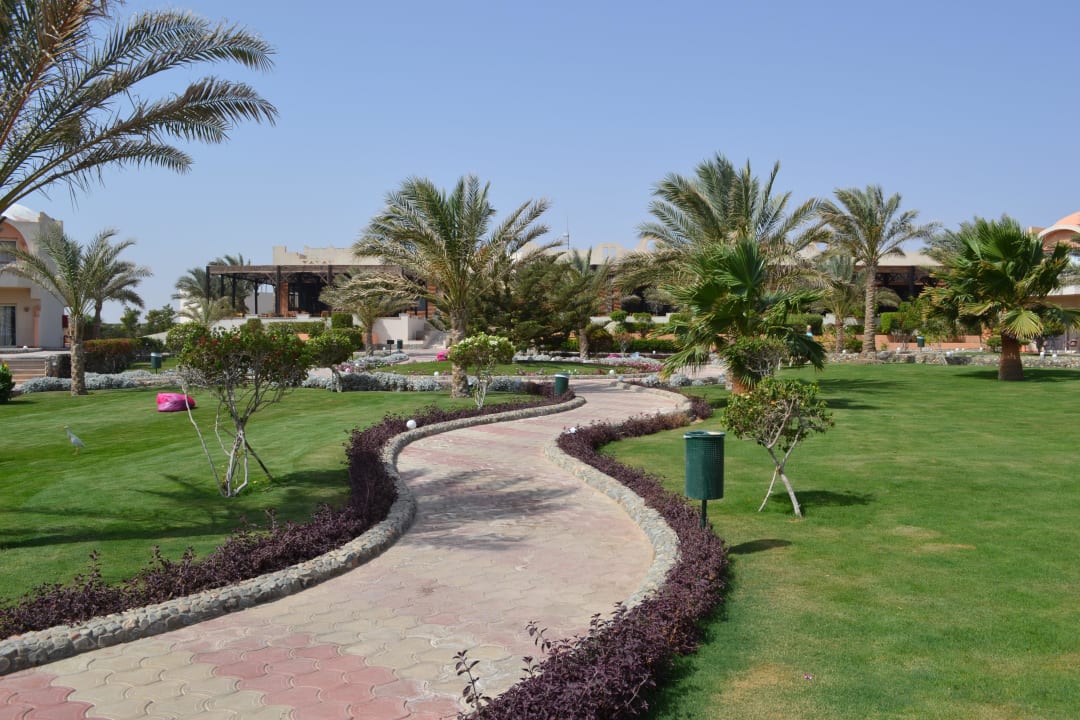 Przy basenie głównym Three Corners Sea Beach Resort