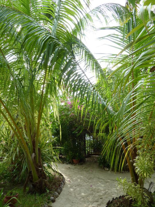 Weg  Kuredu Island Resort & Spa