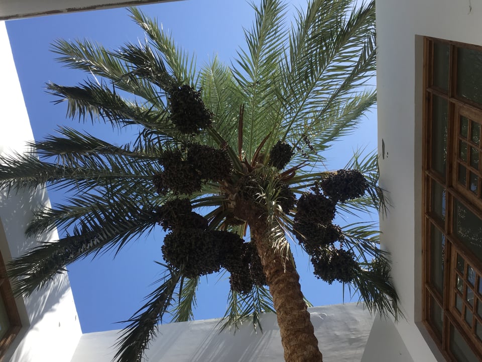 Sonstiges Lahami Bay Beach Resort