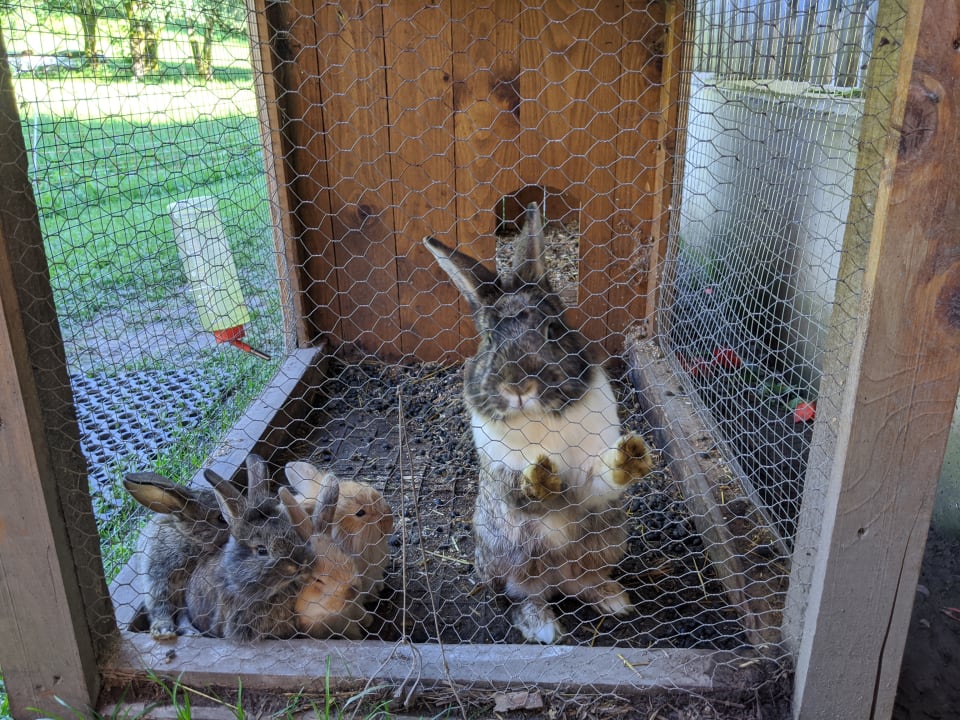 Sonstiges Bauernhof Vorderoberlehen