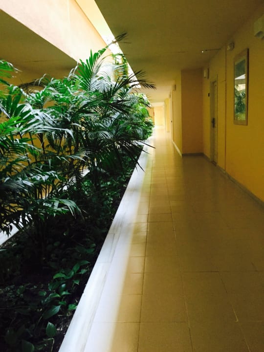 Trakt zu Zimmern  Zafiro Bahia