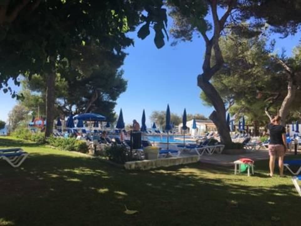 Garten am Pool Universal Hotel Laguna