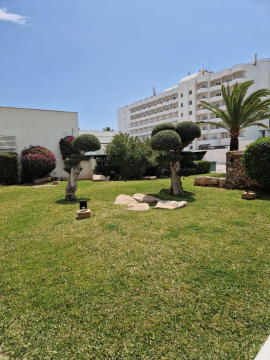 Außenansicht Hipotels Hipocampo Playa