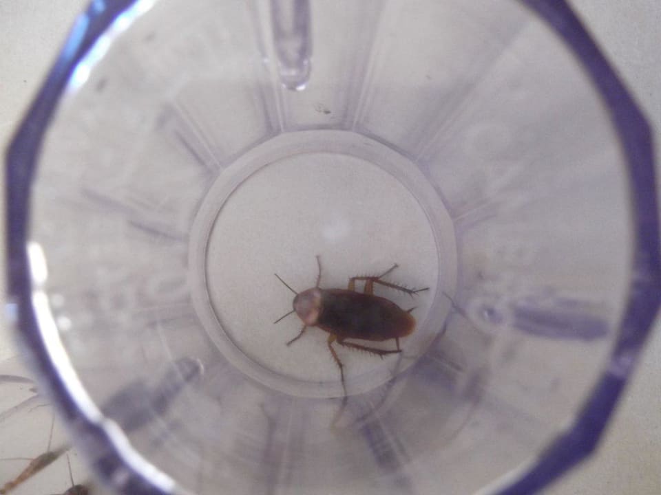 Okazy w pokoju Aelius Hotel and Spa