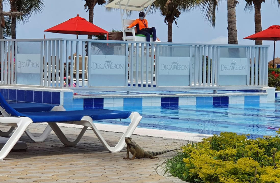 Pool Royal Decameron Punta Centinela Beach Resort & Spa Convention Center