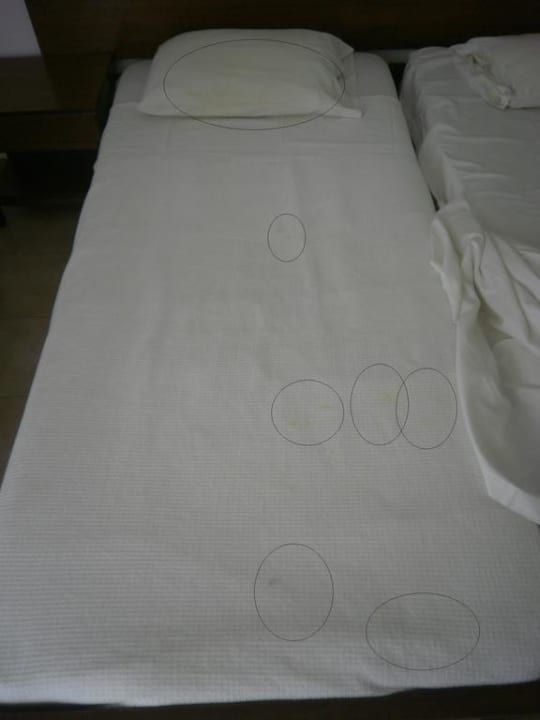 Ekelige Flecken Hotel Koala