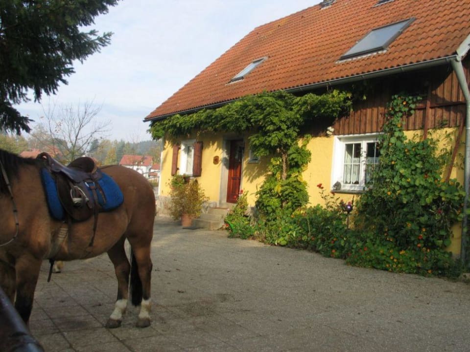 Wohnhaus und Hofansicht Reiterhof Reisach