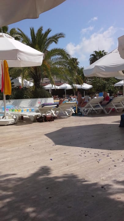 Pool Seaden Corolla Hotel