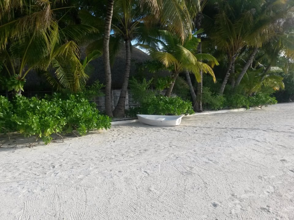 Strand beim Restaurant  Kuramathi Maldives