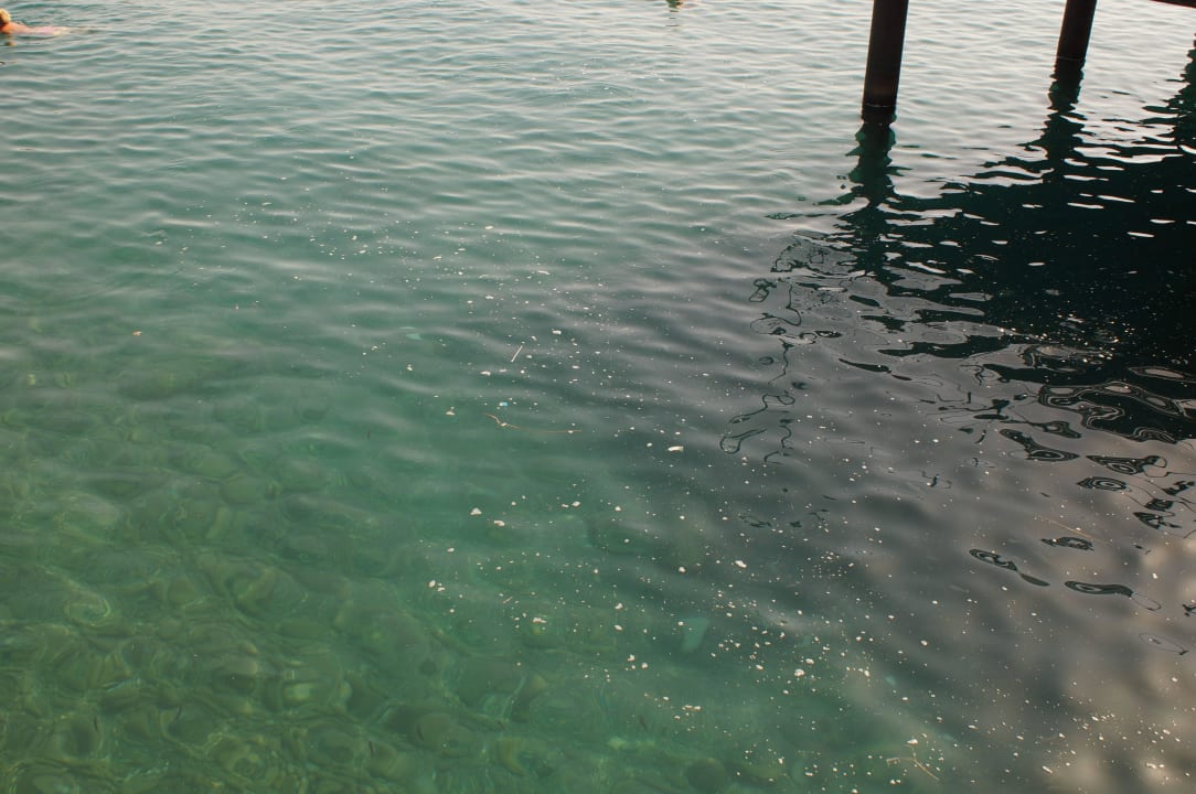 Verschmutztes Meer Le Jardin Resort