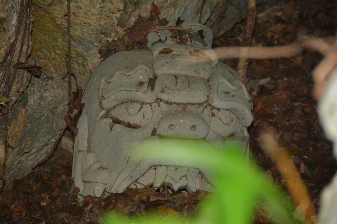 Schön in Scene gesetzt Iberostar Waves Tucan