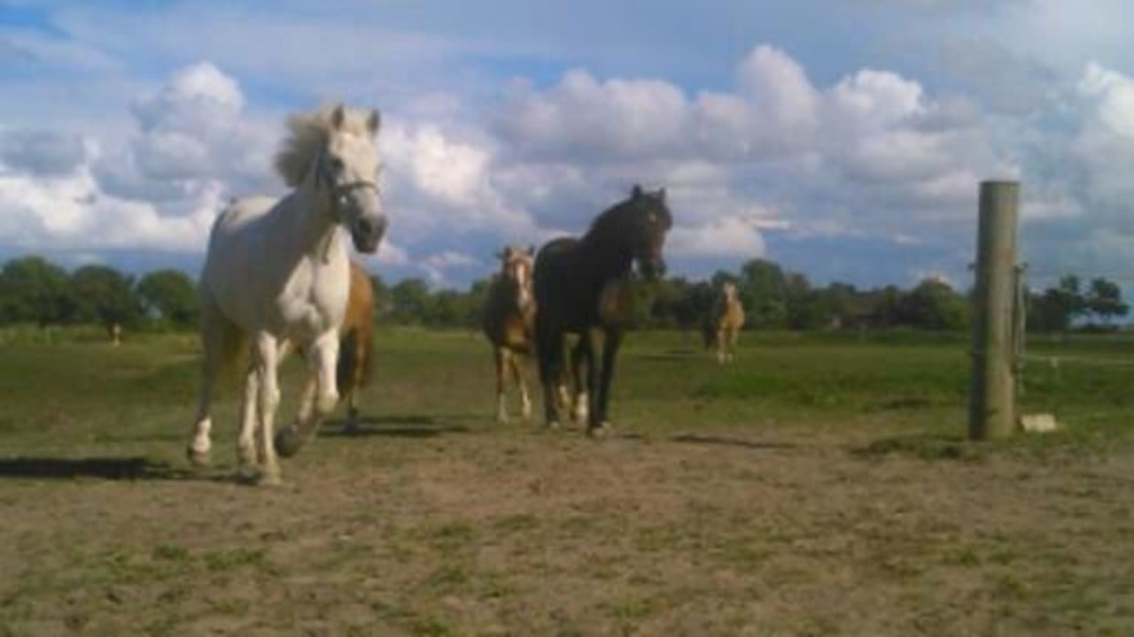 Wir sind froh auf Upwarf zu sein  Ferienhof Upwarf