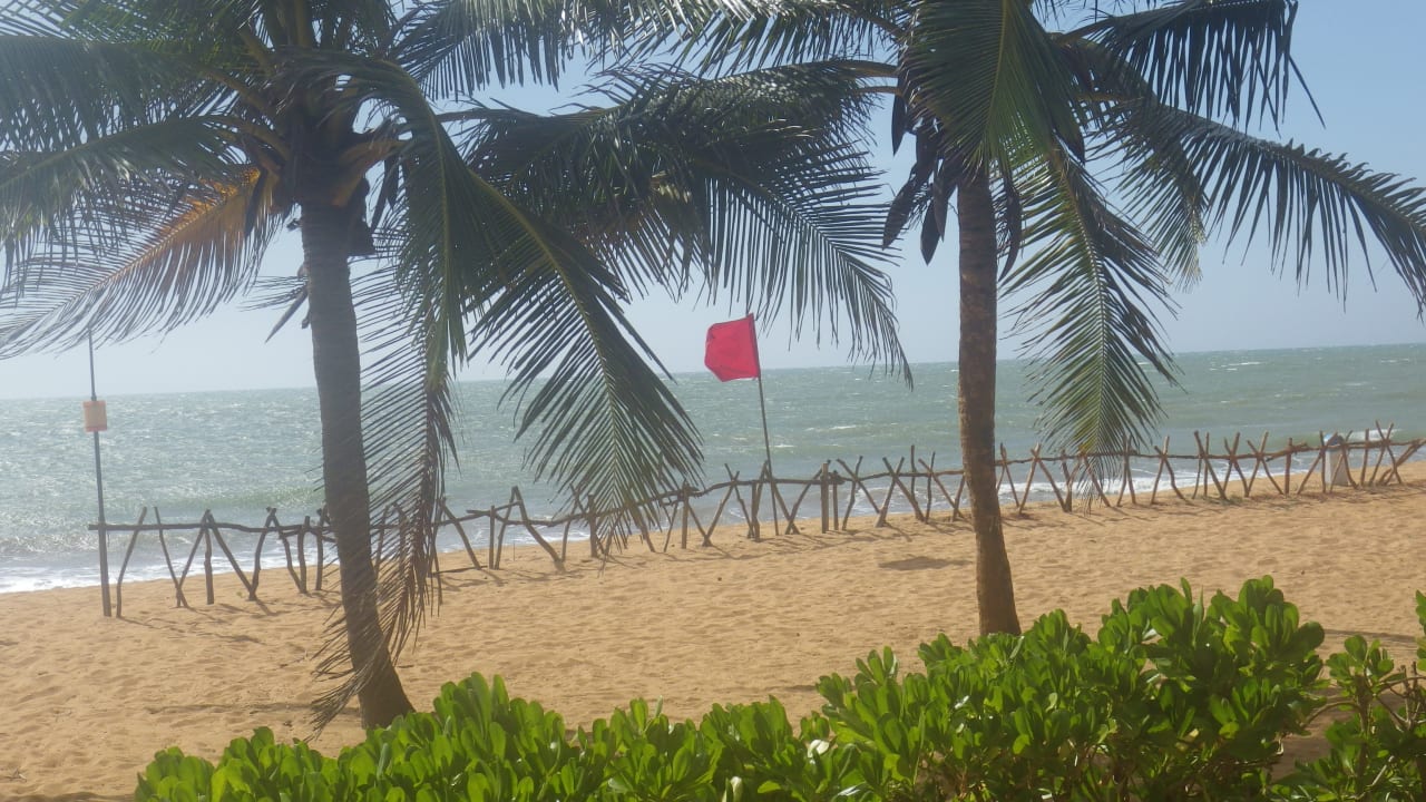 Ausblick Club Hotel Dolphin