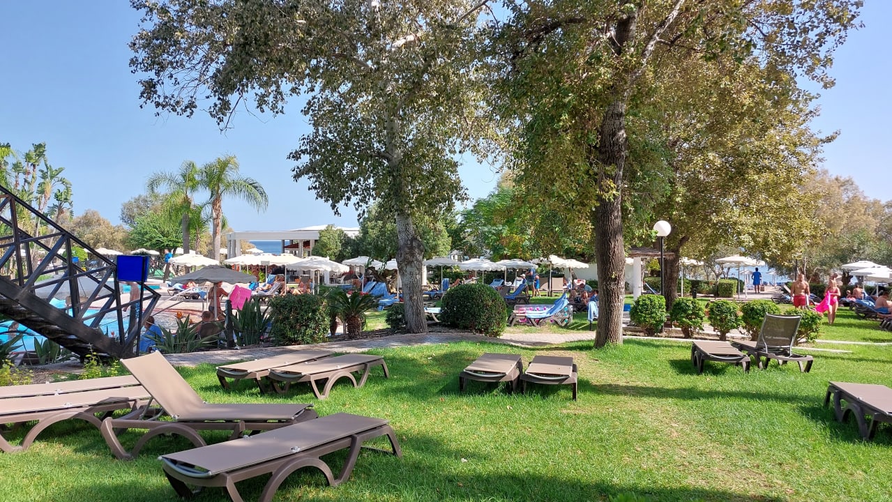 Gartenanlage Hotel Calypso Beach