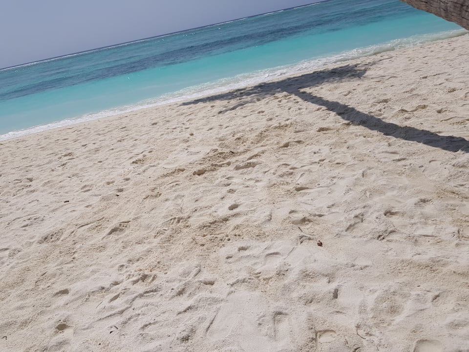 Strand Meeru Maldives Resort Island