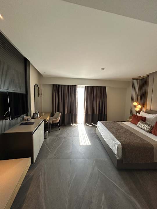 Zimmer Calyptus Kirman Premium