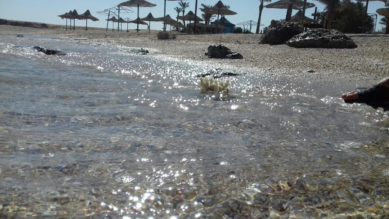 Strand Dreams Beach Resort Marsa Alam