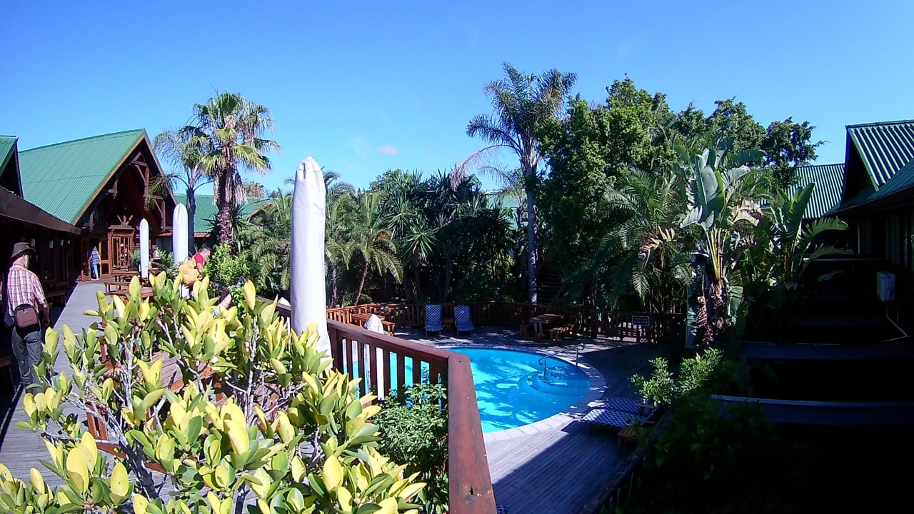 Pool The Graywood Hotel