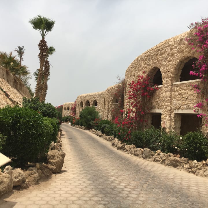 Gartenanlage Pickalbatros Citadel Resort