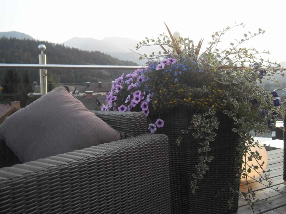 Ausblick Terrasse Dilly - Das Nationalpark Resort