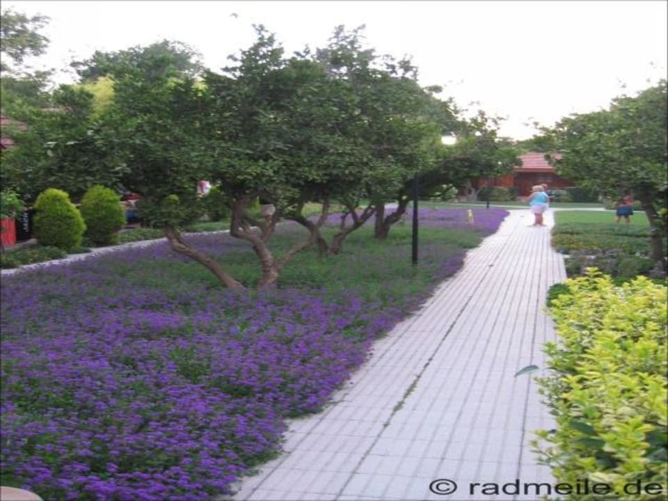 Innenanlage Richtung Restaurant und Strand Can Garden Beach