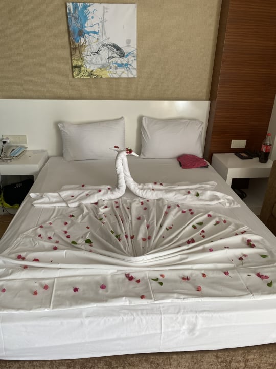 Zimmer Seaden Sea World Resort & Spa