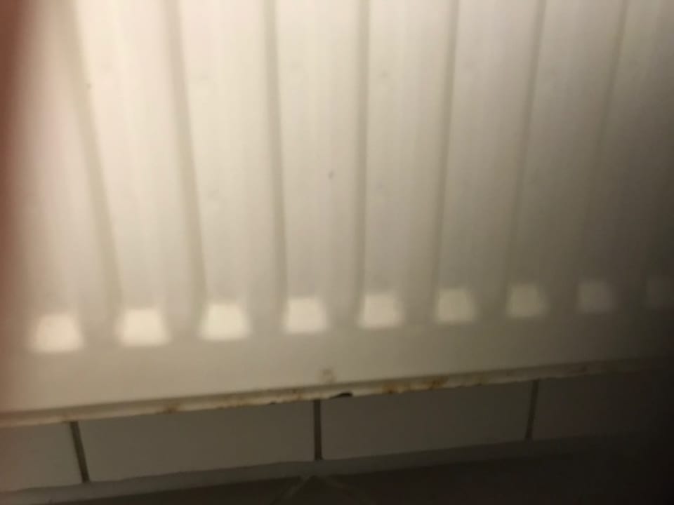 Zimmer Seehotel Burg Spreewald