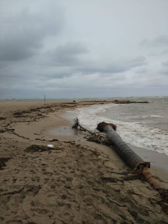 Palme am Sandstrand Grand Paradise Playa Dorada