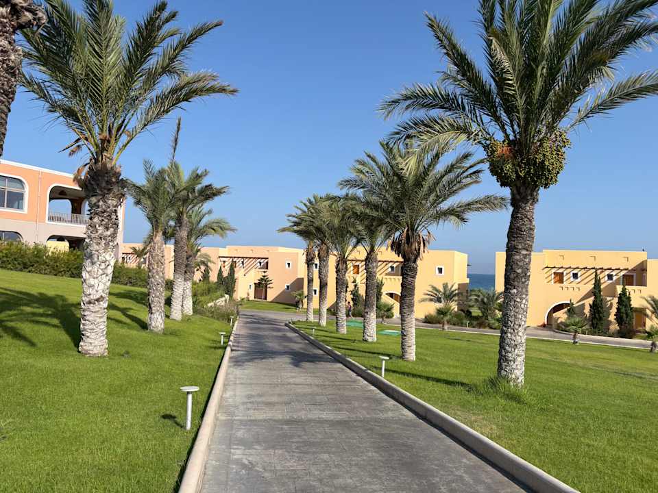 Gartenanlage Hotel Horizon Beach Resort