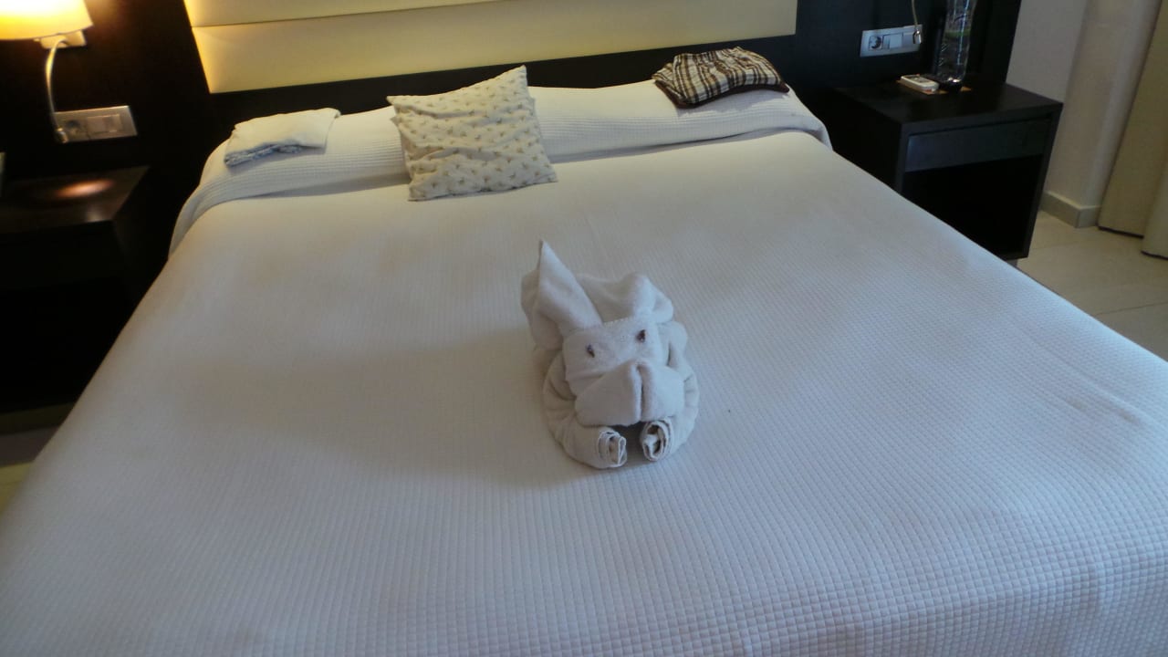 Dekoracje  TUI BLUE Oceanis Beach and Spa Resort