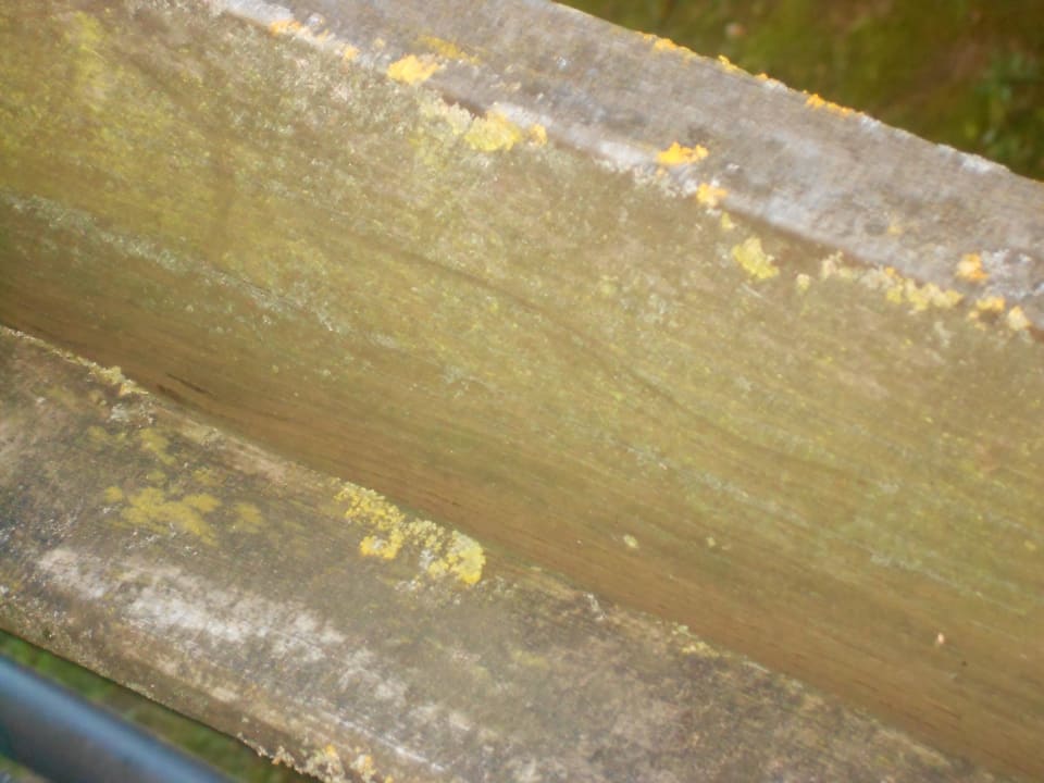 Balkongeländer Hotel Sunnbichl