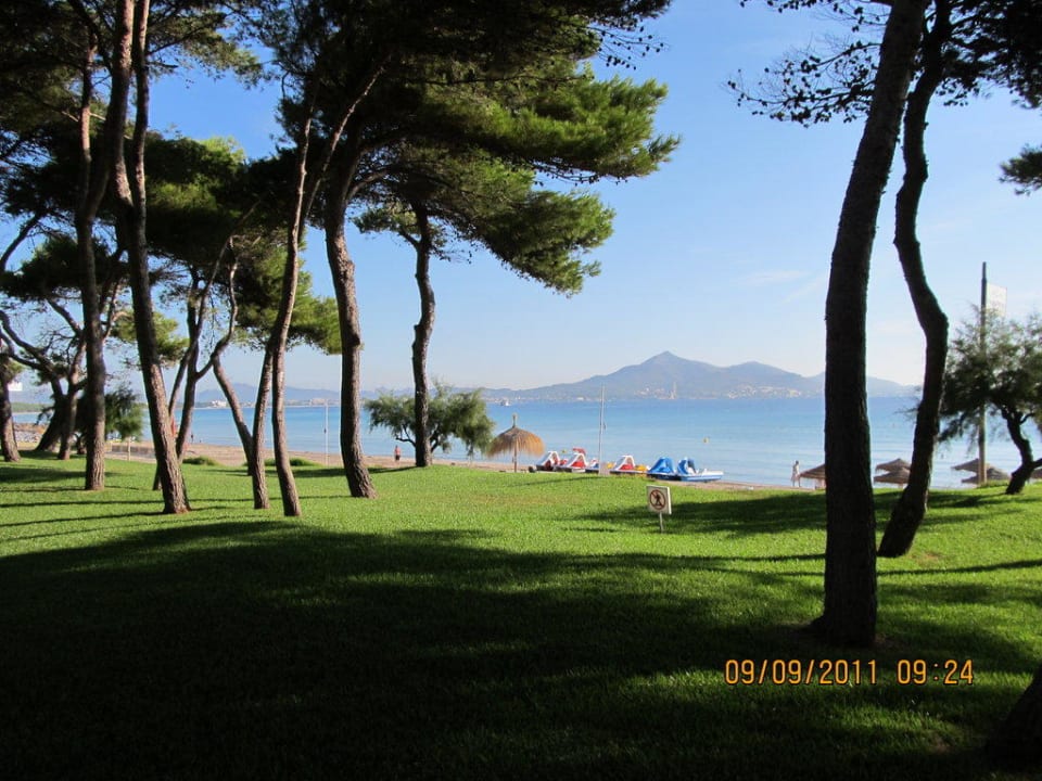 Blick zum Meer Iberostar Waves Playa de Muro