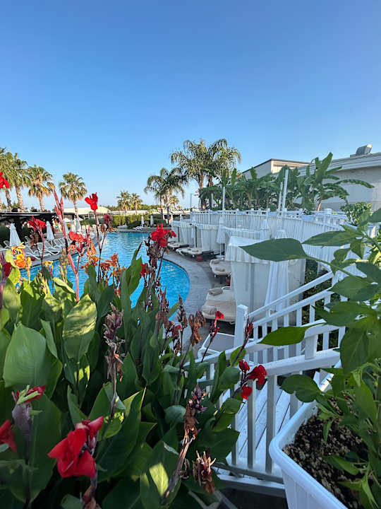 Pool Adalya Elite Lara